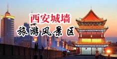 嫩屄在线播放观看中国陕西-西安城墙旅游风景区